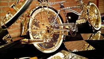 Exposição South American Cho-Low