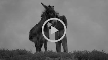 Homeboy Sandman - Live Breathe video