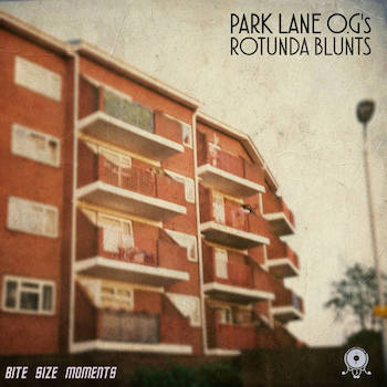 Bite Size Moments - Rotunda Blunts