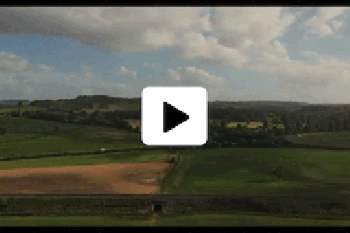 Wish Master - Mindfulness/Far Away videos