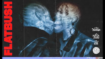 Flatbush ZOMBiES - Afterlife video