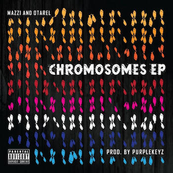 Mazzi Otarel – Chromosomes