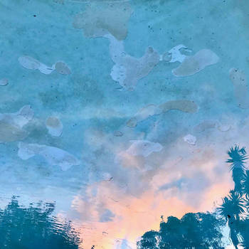 Collar John - Cribtape