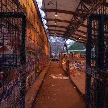 Defcee goldenbeets feat. WdotIll - Desire