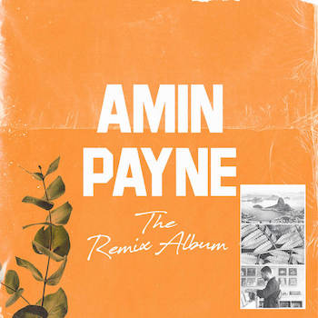 Amin Payne - The Remix Album
