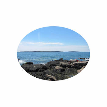 absentavery - joels escape