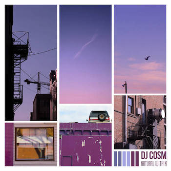 DJ Cosm - Natural Within