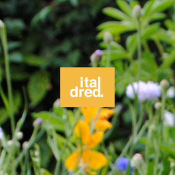 Italdred - The Beginning (Compilation)