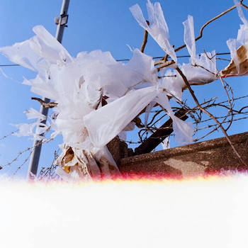 Ivy Lab - Blonde E.P