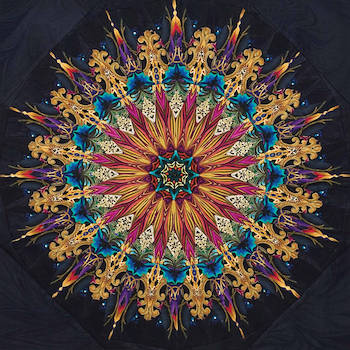 SNK∆ - Looperies#4