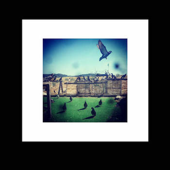 apisol - lima sierra four