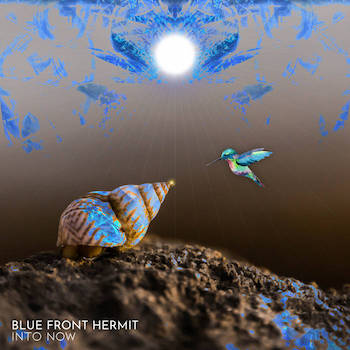 BLUE FRONT HERMIT - Into Now
