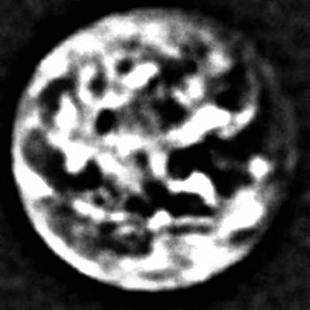 iv lo tusk - Planet s Grain