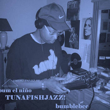 Bumblebee - tunafishjazz