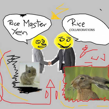 Rice Master Yen - Rice Collaborations