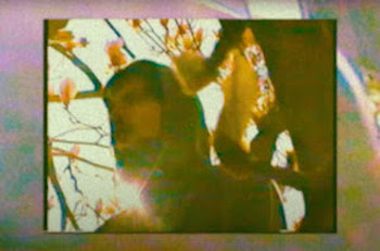 Spectacular Diagnostics feat. Immi Larusso - Alright video