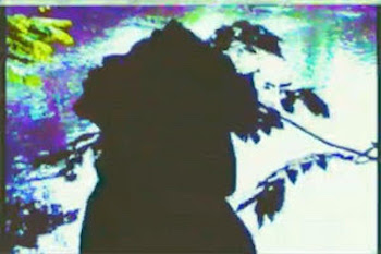 Spectacular Diagnostics feat. Pertrelli Purple - Fish video