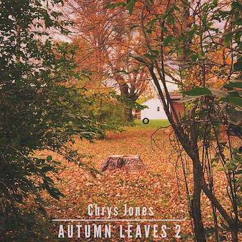 Chrys Jones - Autumn Leaves 2