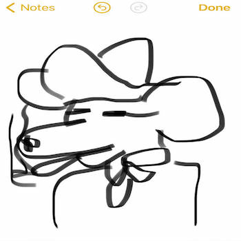 Quelle Chris - Andale Andales 2019