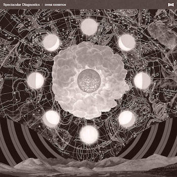 Spectacular Diagnostics - DIVINE EXHIBITION