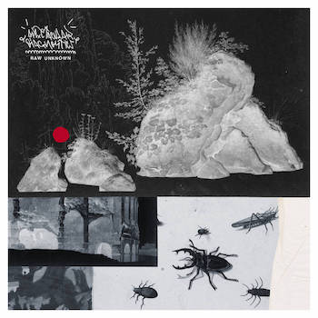 Spectacular Diagnostics - RAW UNKNOWN