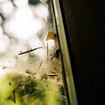 exociety - deception falls