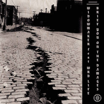 Widowmaker feat. WRD life - Brief You On The Damages