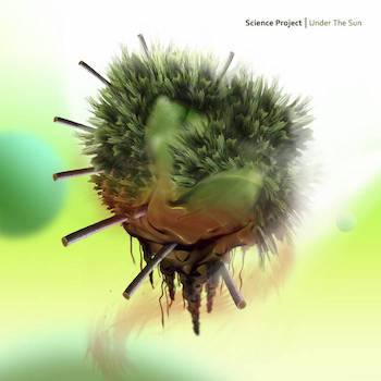 Science Project - Under the Sun