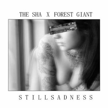 FOREST GIANT x THE SHA - S T I L L S A D N E S S [SPLIT]