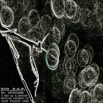 THE JADE PALACE GUARD - DR. SHIROGAME__303_E​.​S​.​P.