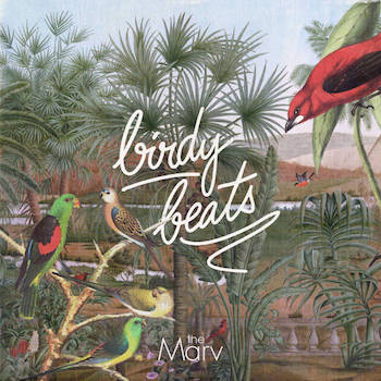 The Marv - Birdy Beats