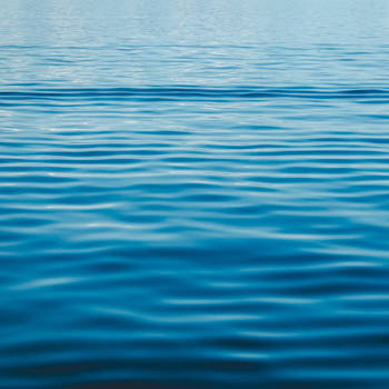 BLUE FRONT HERMIT - Light Waves