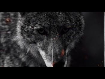 Mestizo Controller 7 feat. D-Styles - Promised Land video