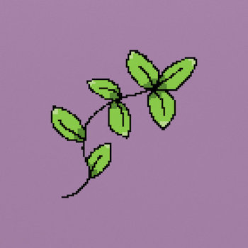 Pink Navel - BESTMORNING