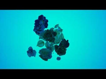 CARRTOONS feat. Bad Snacks - Sparkle video