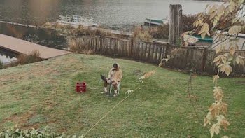 Kota the Friend - Big Bear video