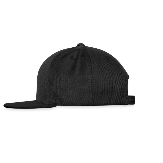 Beat Trotterz Snapback Hat Anthem Logo, black, regular size, left side