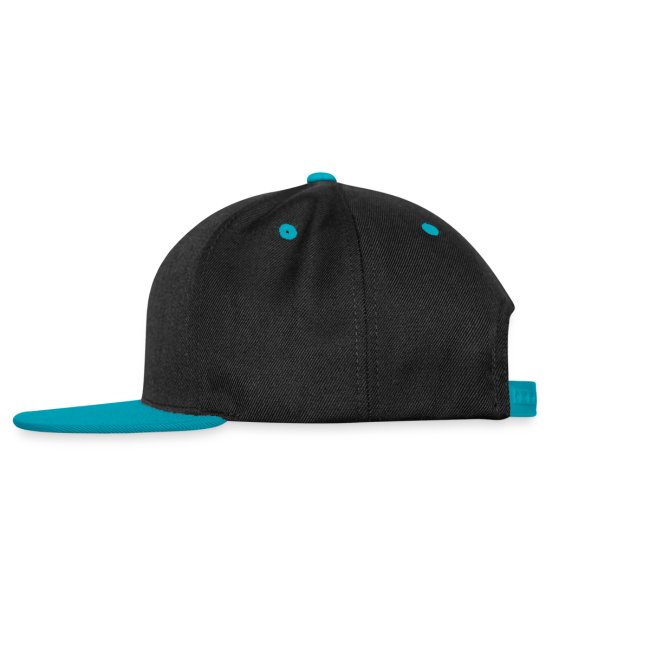 Snapback Hat Anthem Logo, black / light blue, left side