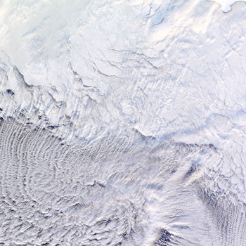 montell2099 - whats your name