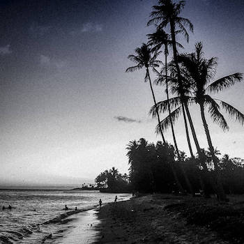 Terror Firma - Pause (Selah)