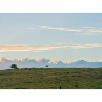 J-Ideas - inalienable