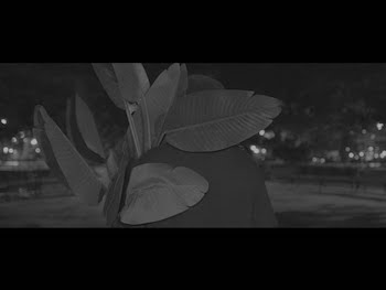 miles cooke - oprah video