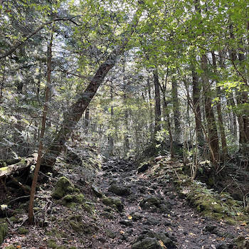 Tenshun/10shun - Ghost of the Undead