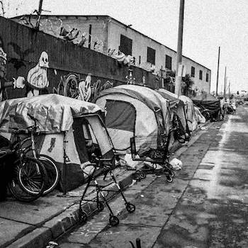 Terror Firma - Last Revival