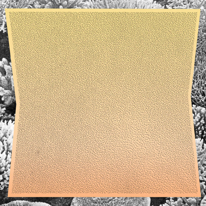 Bambooman - Lucazade.