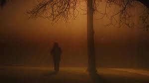 Evidence - Different Phases video