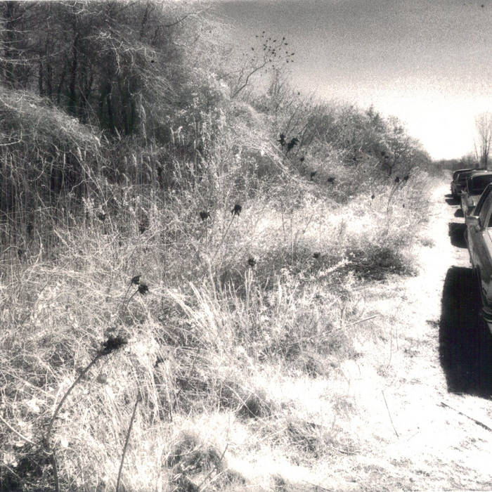 The Custodian of Records - 2021