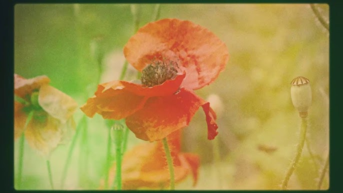 Remulak - Tales Up Quicksie Hill video Remulak - Tales Up Quicksie Hill video