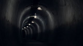 Sniff, Caneva & Hush One - Draw video