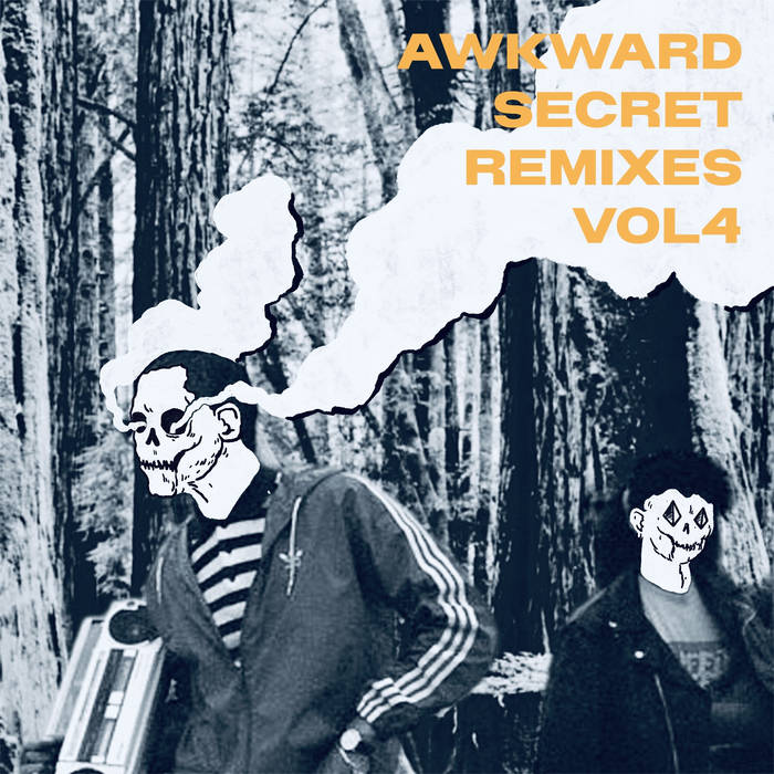 Awkward - Secret Remixes Vol. 4